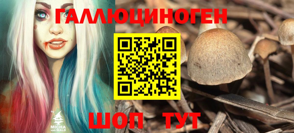Галлюциногенные грибы GOLDEN TEACHER Киреевск