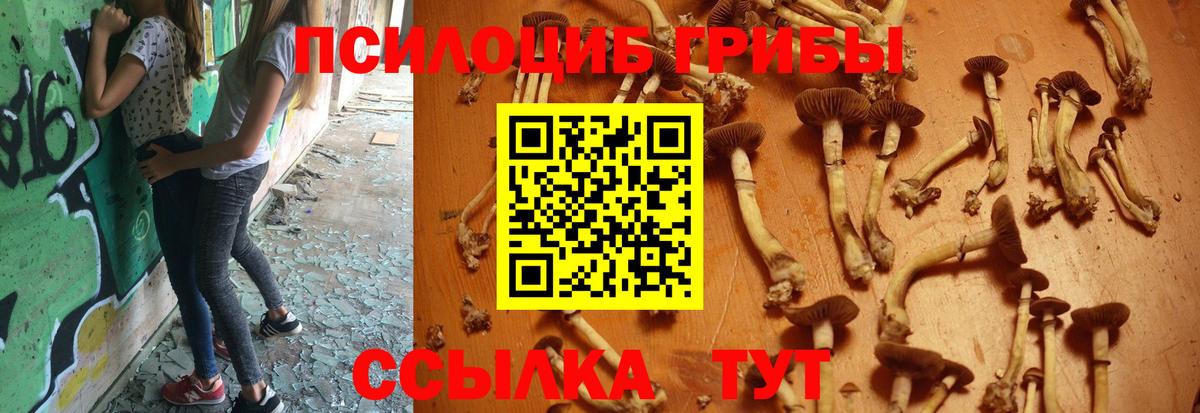 Галлюциногенные грибы мухоморы  Вход с VPN  Галлюциногенные грибы Cubensis  Киреевск 
